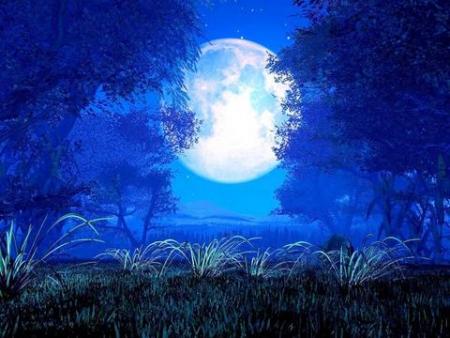 Bonne nuit tout le monde